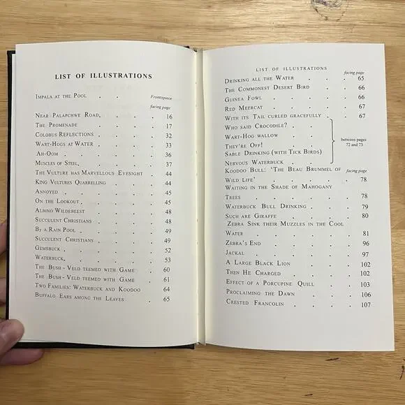 The Desert Pool A Romance of Wildest Africa With 89 Photographs by Guy Chalkley - Picture 7 of 12